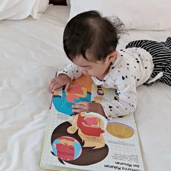 Bayi mengeksplorasi buku bergambar